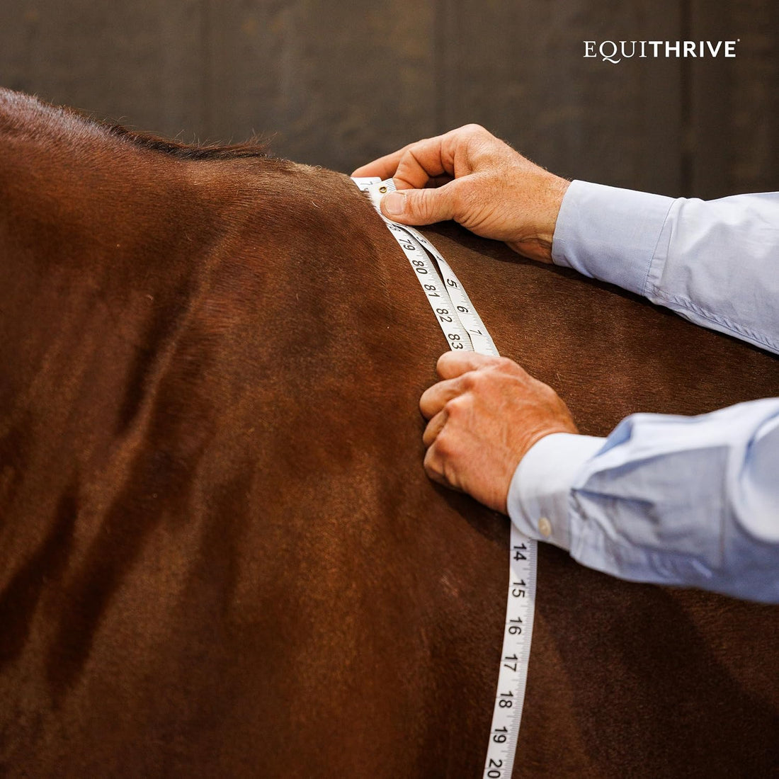 Equithrive MetaCare Pellets Horse Supplement, 3.3 lbs, 30 Day Supply