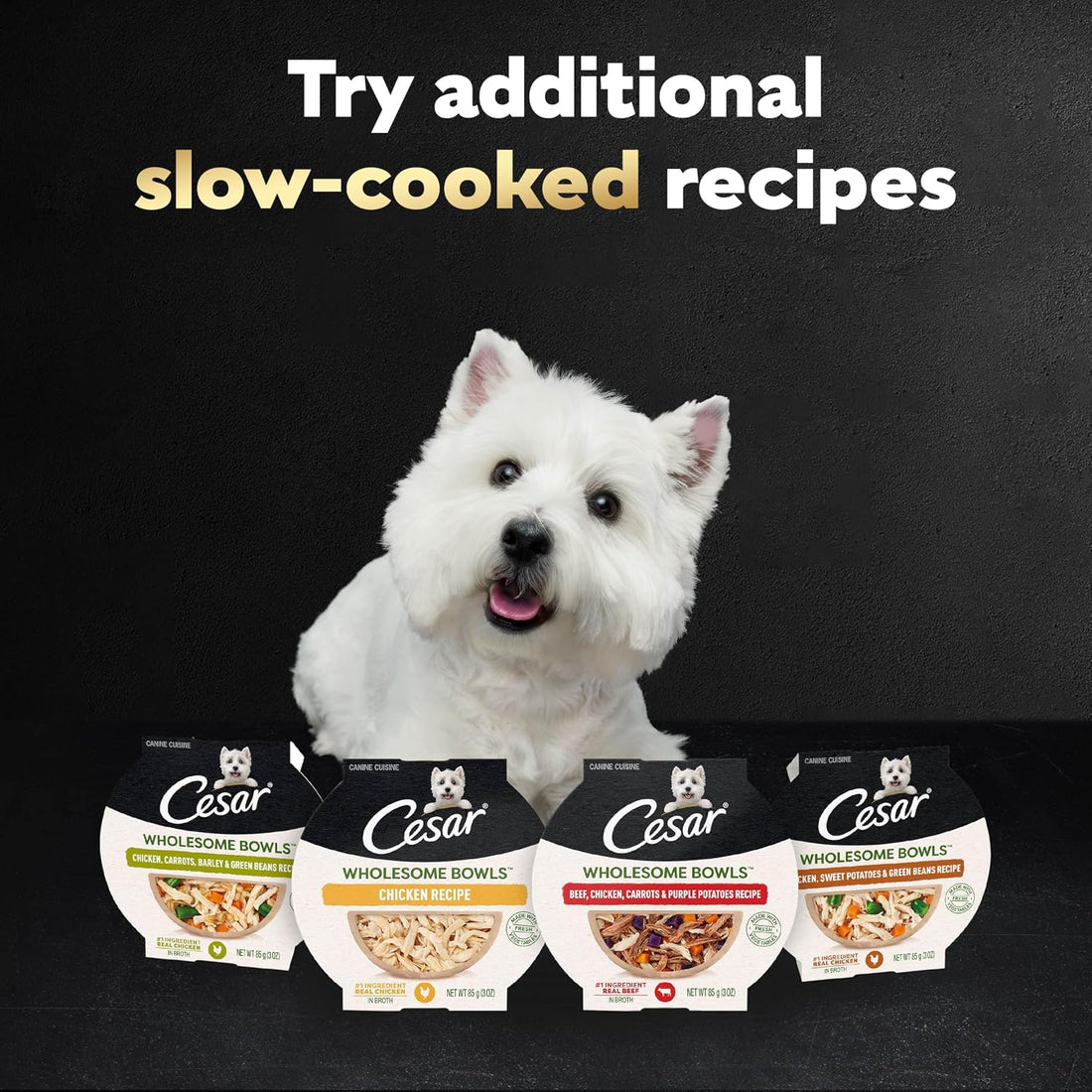 Cesar Wholesome Bowls Adult Wet Dog Food,Beef,Chicken,Purple Potatoes