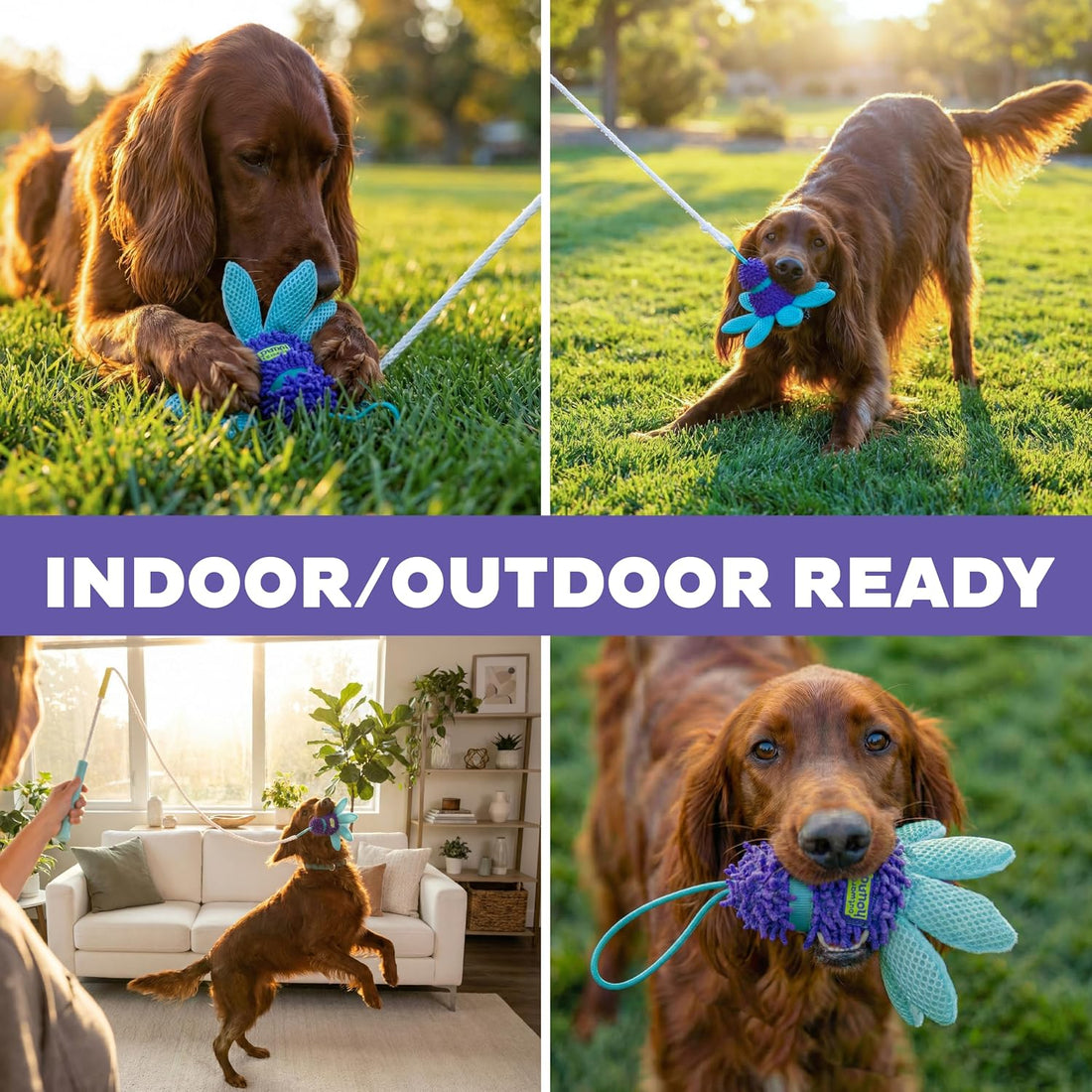 Outward Hound FlyFetch Teaser Wand Dog Toy with Crinkle Attachment