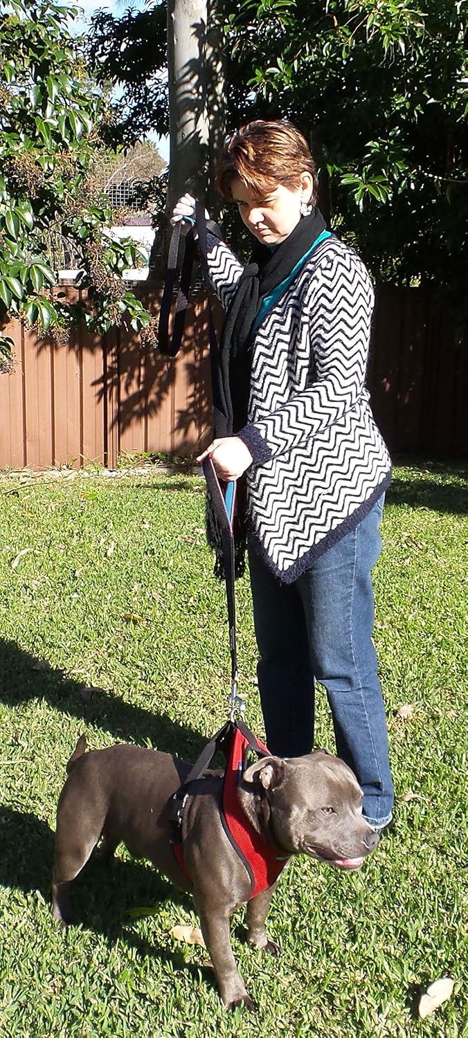 Primal Pet Gear Dog Leash 6ft Long,Traffic Padded Two Handle,Heavy