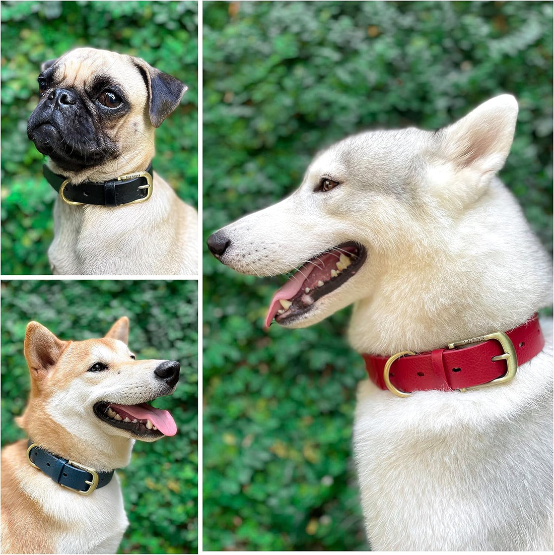 Tuff Pupper Heavy Duty Waterproof Dog Collar for Small