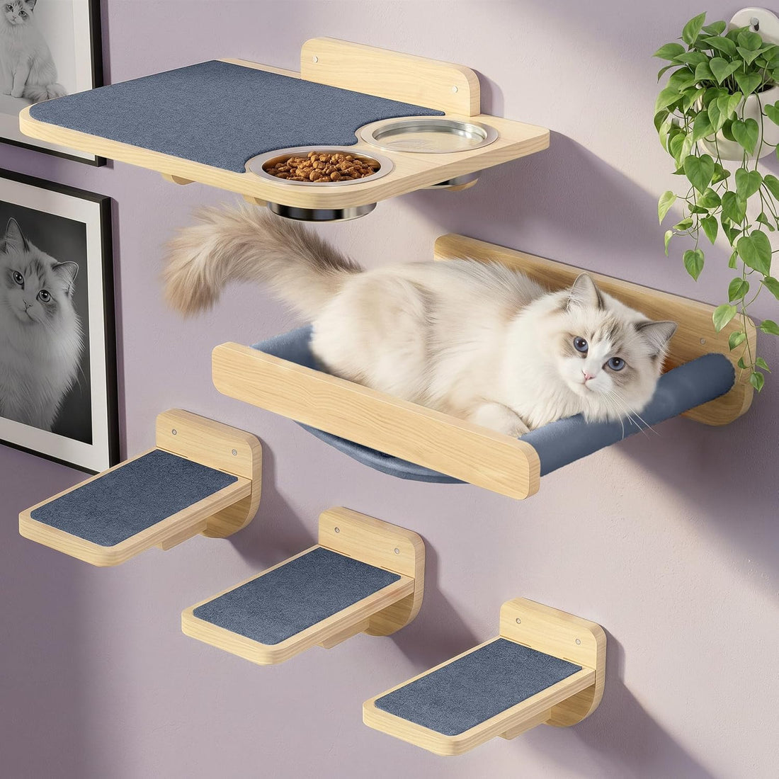 Cat Wall Shelves - Wall Mounted Cat Shelves with Feeding Station