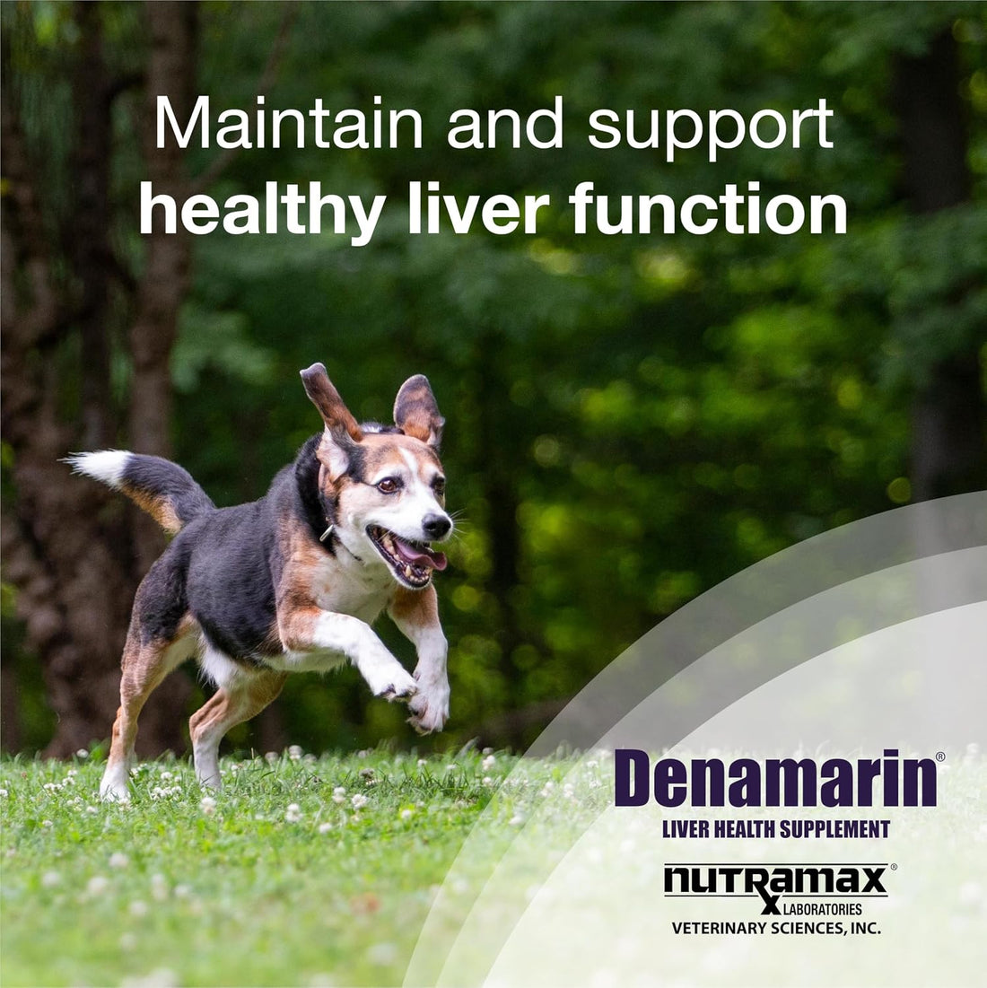 Nutramax Denamarin Liver Supplement Tablets