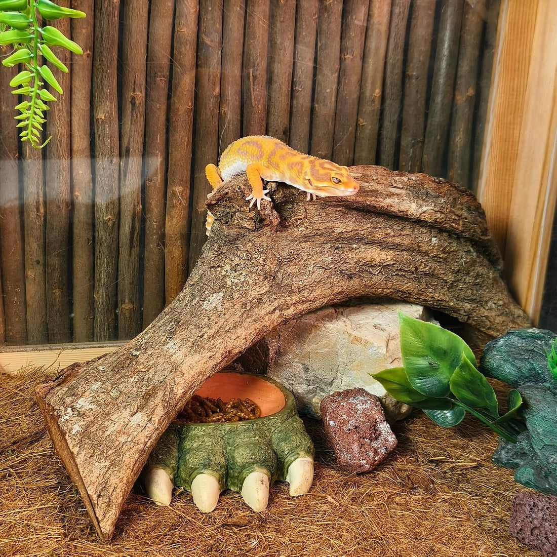 Tfwadmx Reptile Branches, Natural Reptile Corner Climbing Branch
