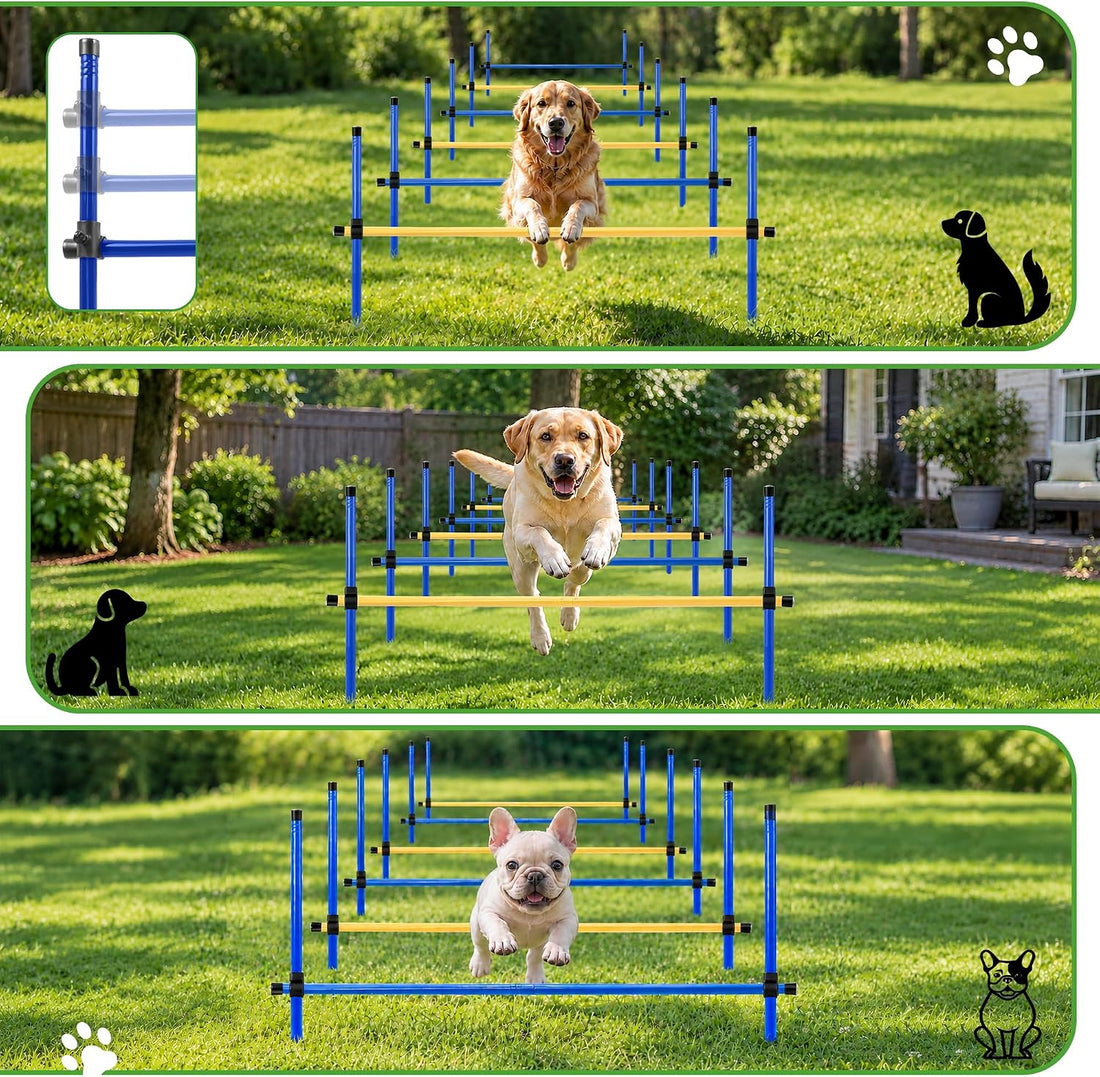 Dog Agility Equipment, Dog Agility Course Backyard Set