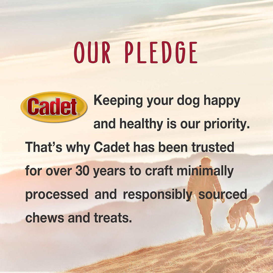 Cadet Gourmet Shish Kabob Dog Chews for Small Dogs