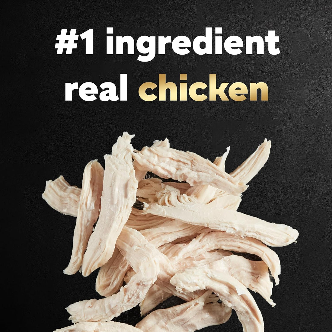 Cesar Wholesome Bowls Adult Wet Dog Food, Chicken Recipe and Chicken