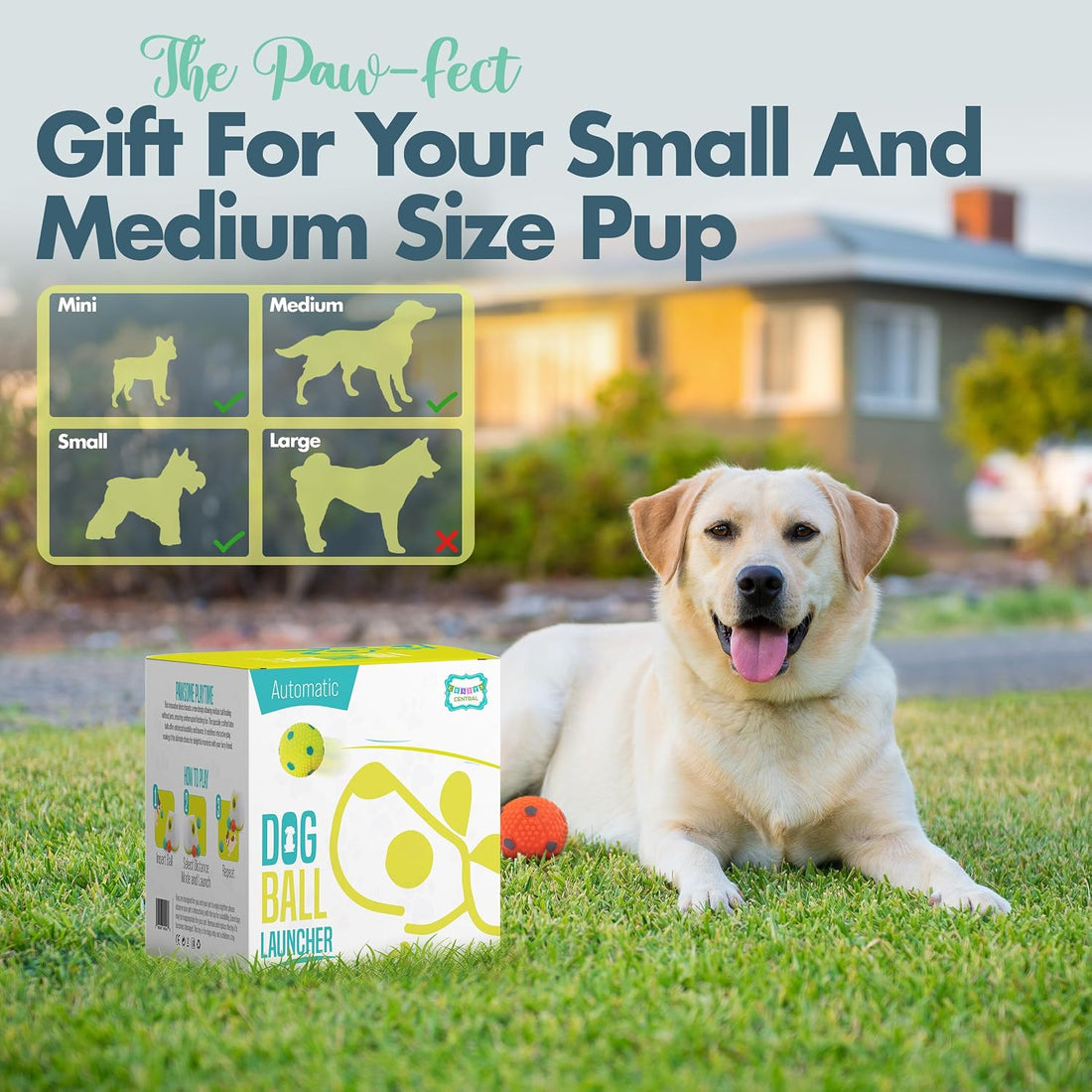 Automatic Dog Ball Launcher - Dog Ball Fetch Machine