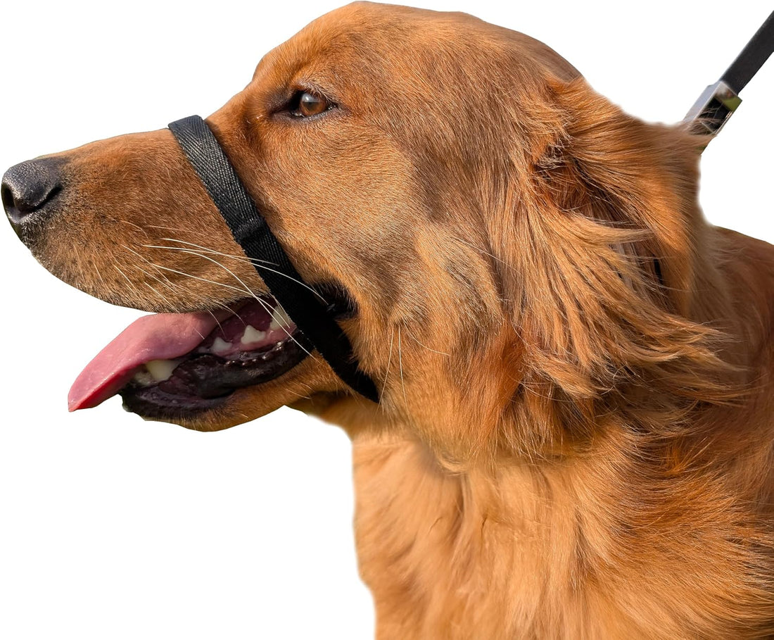 PetsProMax No-Pull Dog Headcollar for Extra Large Dogs