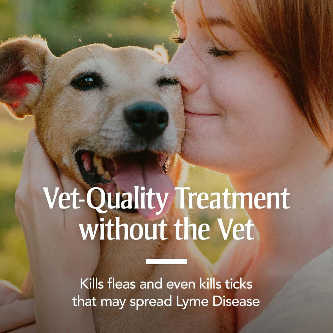 PetArmor for Dogs, Flea and Tick Treatment for Large Dogs