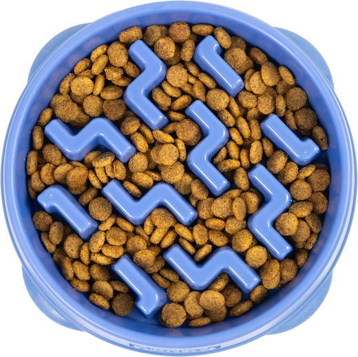 Outward Hound Fun Feeder Slo Bowl – Medium 2‑Cup Capacity