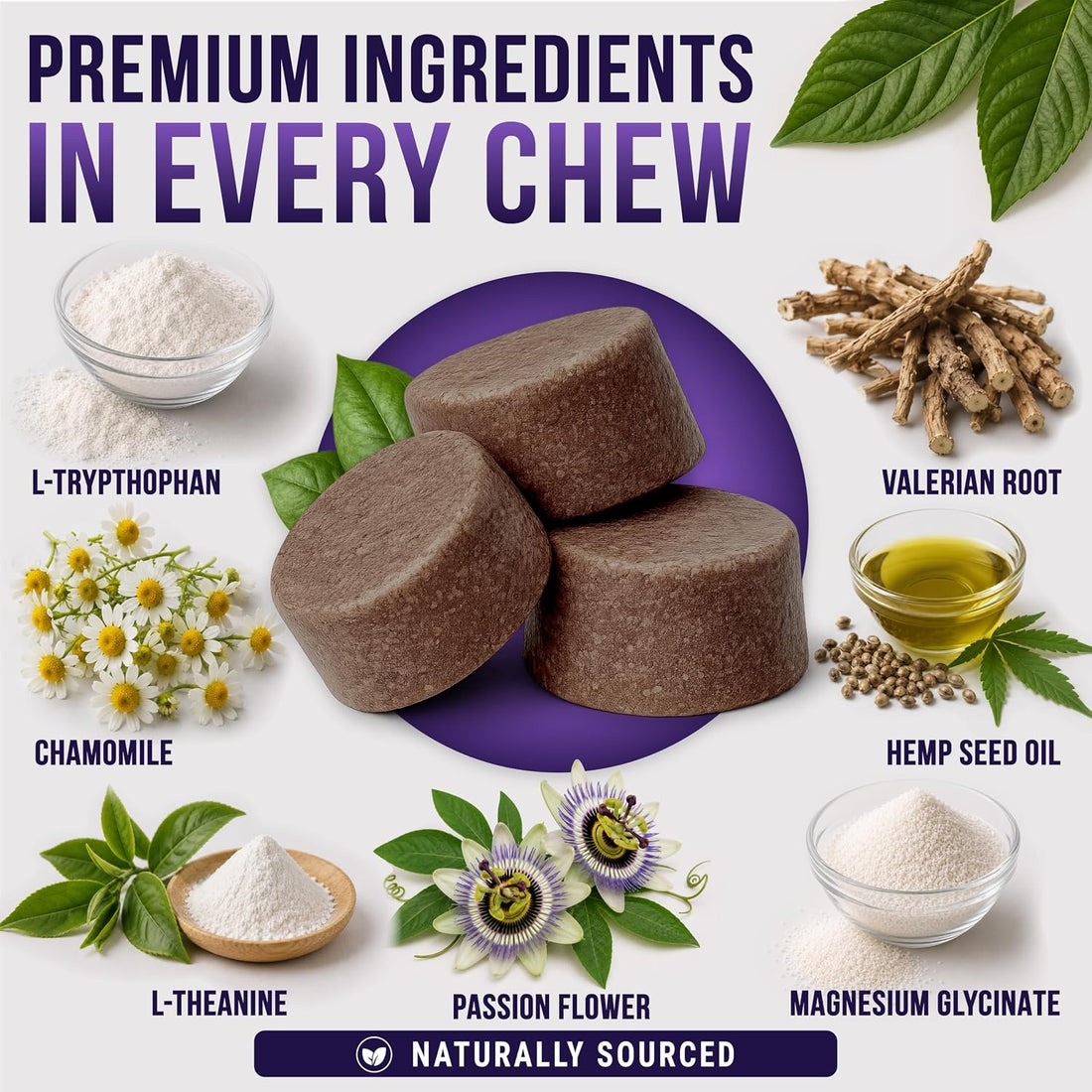 Melatonin for Dogs - 250 Chews