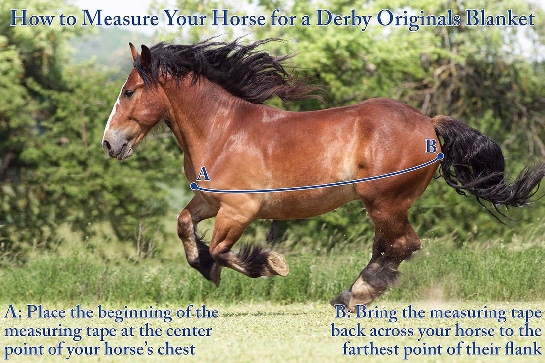 Derby Originals Nordic-Tough 1200D Heavyweight Mini Horse & Pony