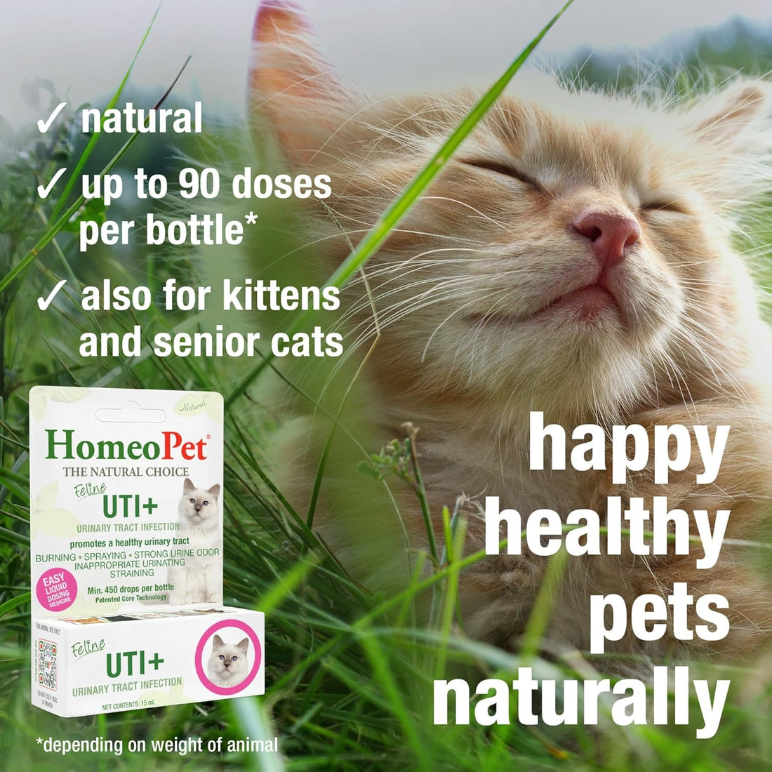 HomeoPet Feline UTI+, Safe and Natural Urinary Tract Supplement