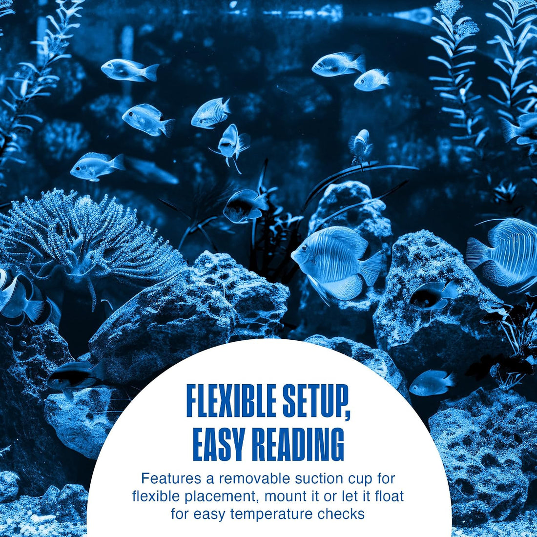 Penn-Plax Therma-Temp Floating Aquarium Thermometer - Multicolor