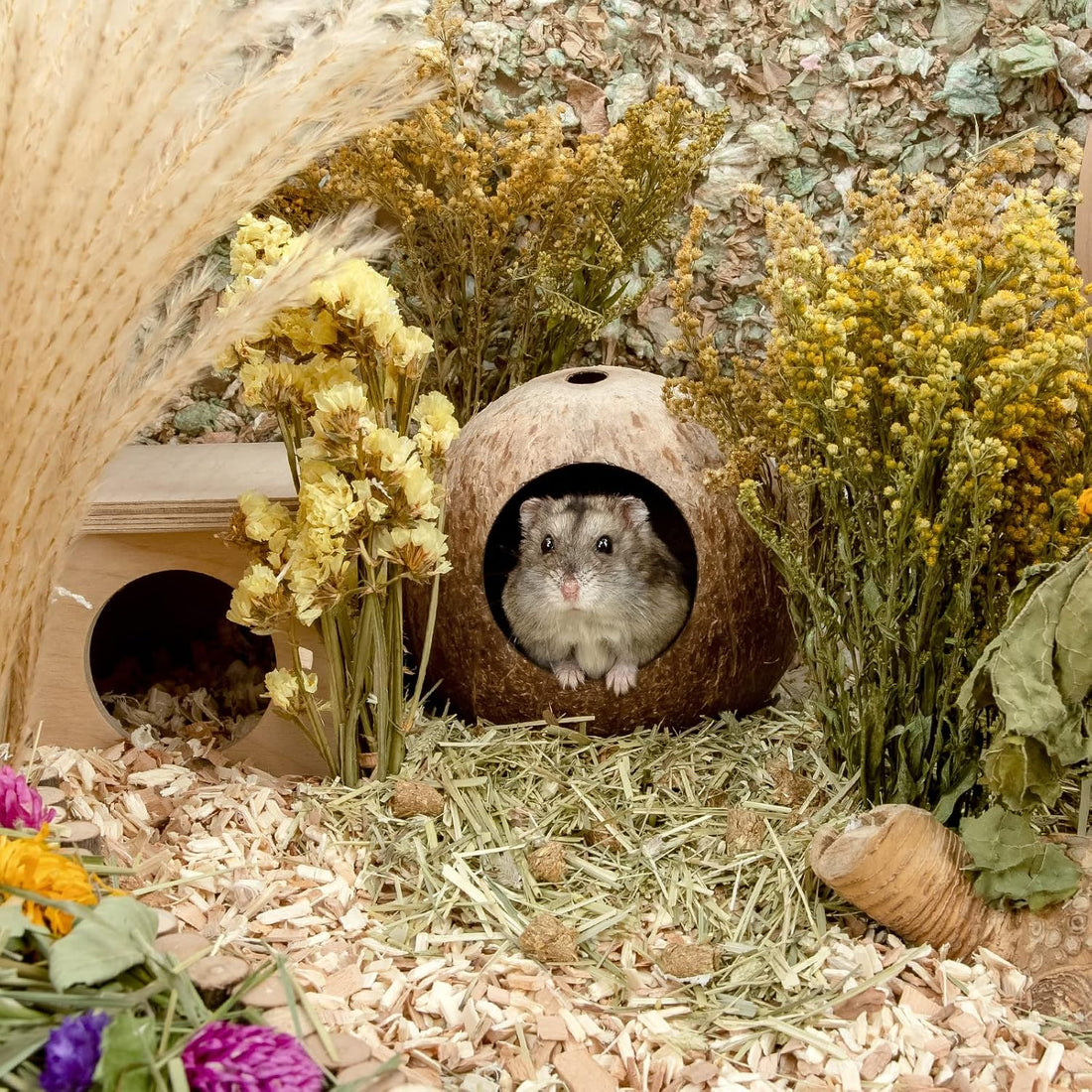 andwe Coconut Hut Hamster House Bed Natural Gerbils Hideout