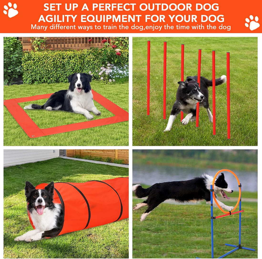 CuisinSmart Dog Agile Course Backyard Set