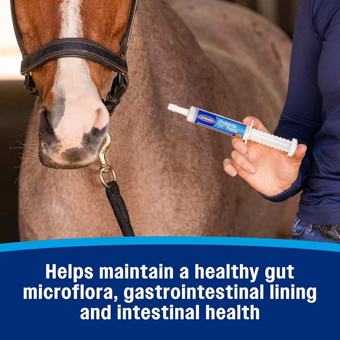 Farnam Probiotic Paste Horses in Syringe Supports Healthy Microbial