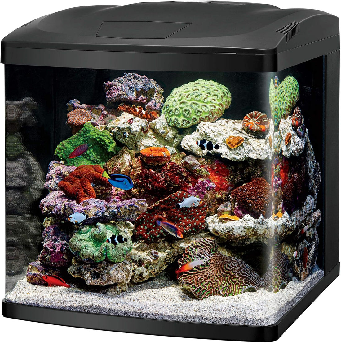 Coralife LED Biocube Aquarium Starter Kit