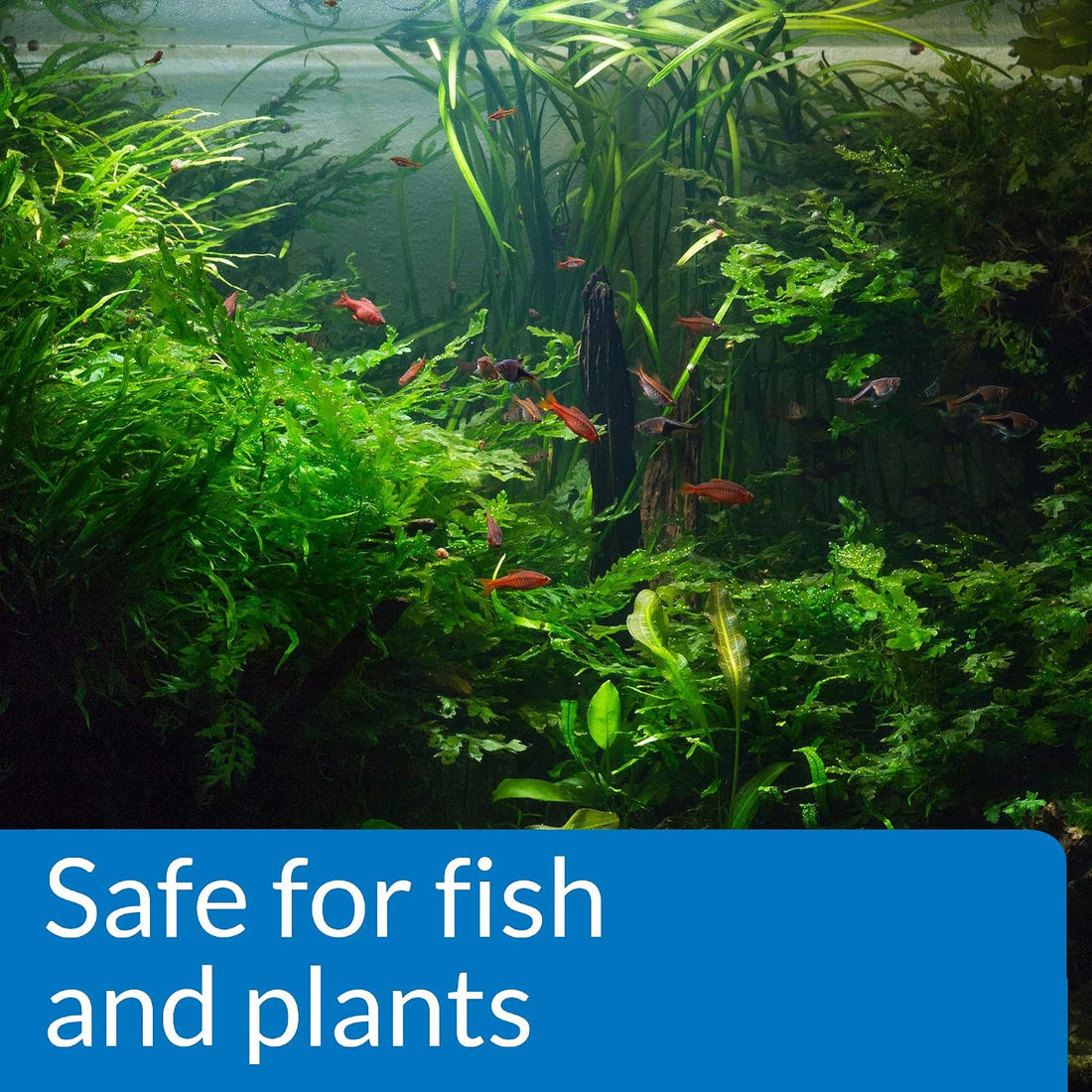 API pH UP Freshwater Aquarium Water pH Raising Solution