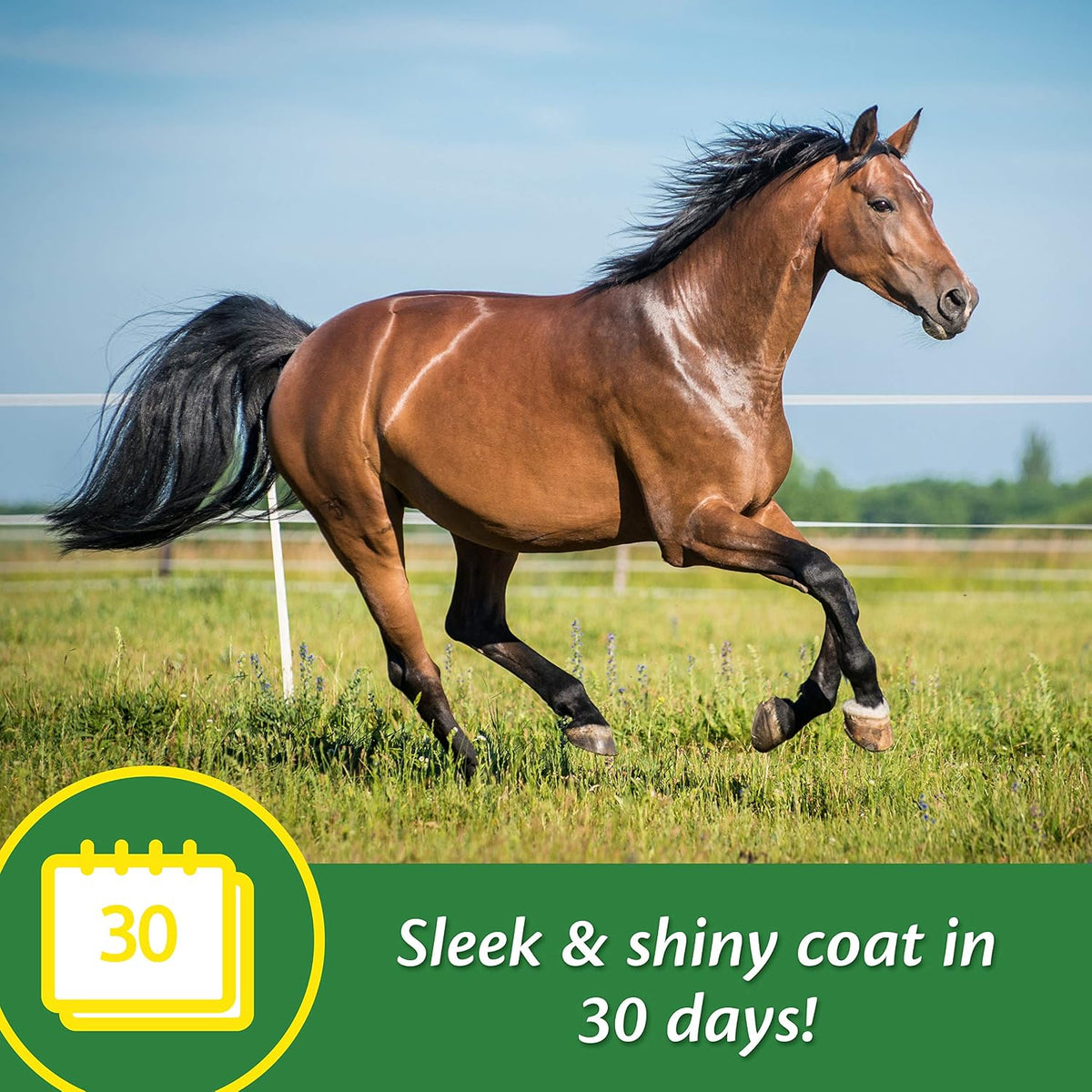 Farnam Super 14 Healthy Skin & Coat Supplement for Horses