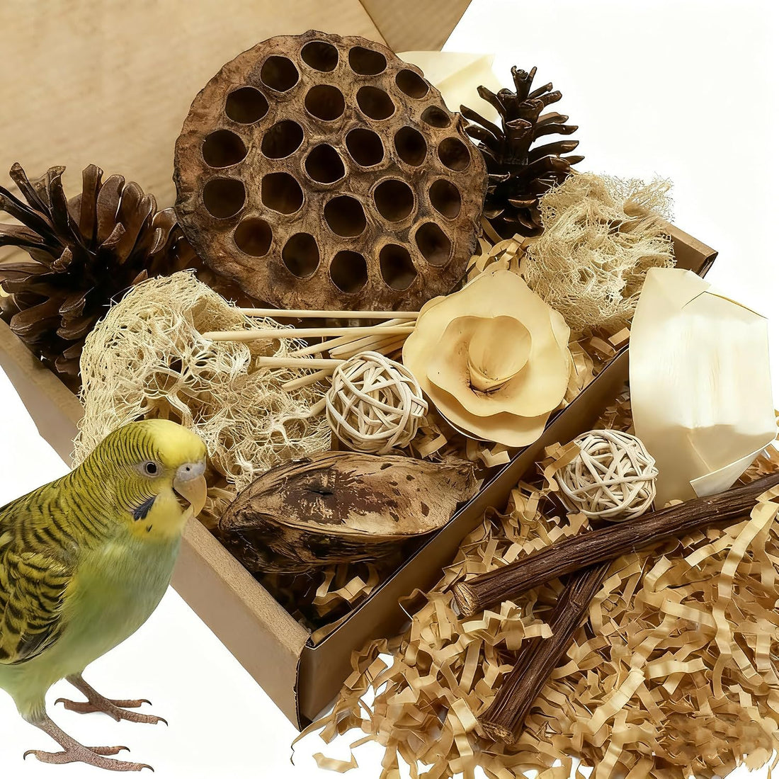 Bird Pet Toys - Lotus Pod Foraging Box, 10 Natural Ingredients