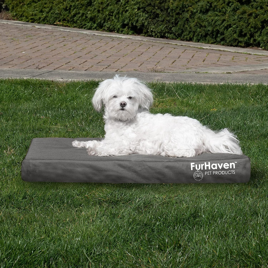 Furhaven Water-Resistant Orthopedic Dog Bed for Medium/Small Dogs w/