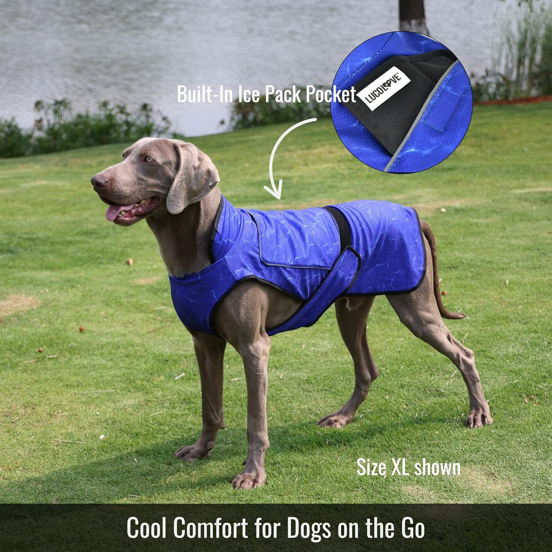 LUCOLOVE Dog Cooling Vest with Ice Pack