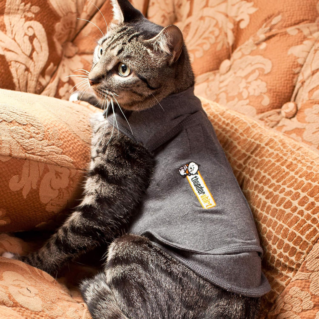 Thundershirt Classic Cat Anxiety Jacket, Heather Gray, Medium, THU-009