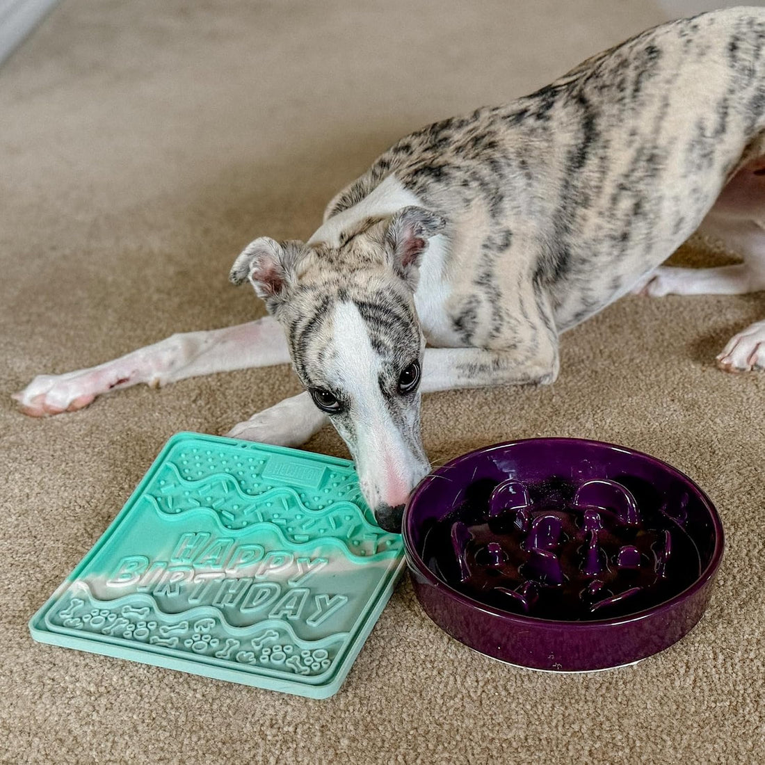 CHEWFFON Birthday Lick Mat for Dogs and Cats