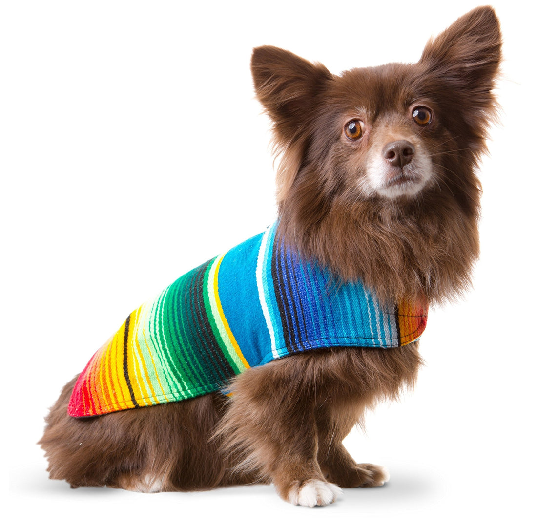 Dog Clothes - Handmade Dog Poncho from Authentic Mexican Blanket by
