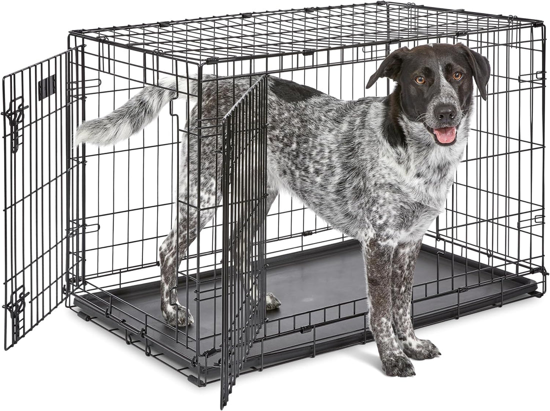 Midwest 30-Inch Single Door iCrate, for Medium Breeds, 21-40 lbs