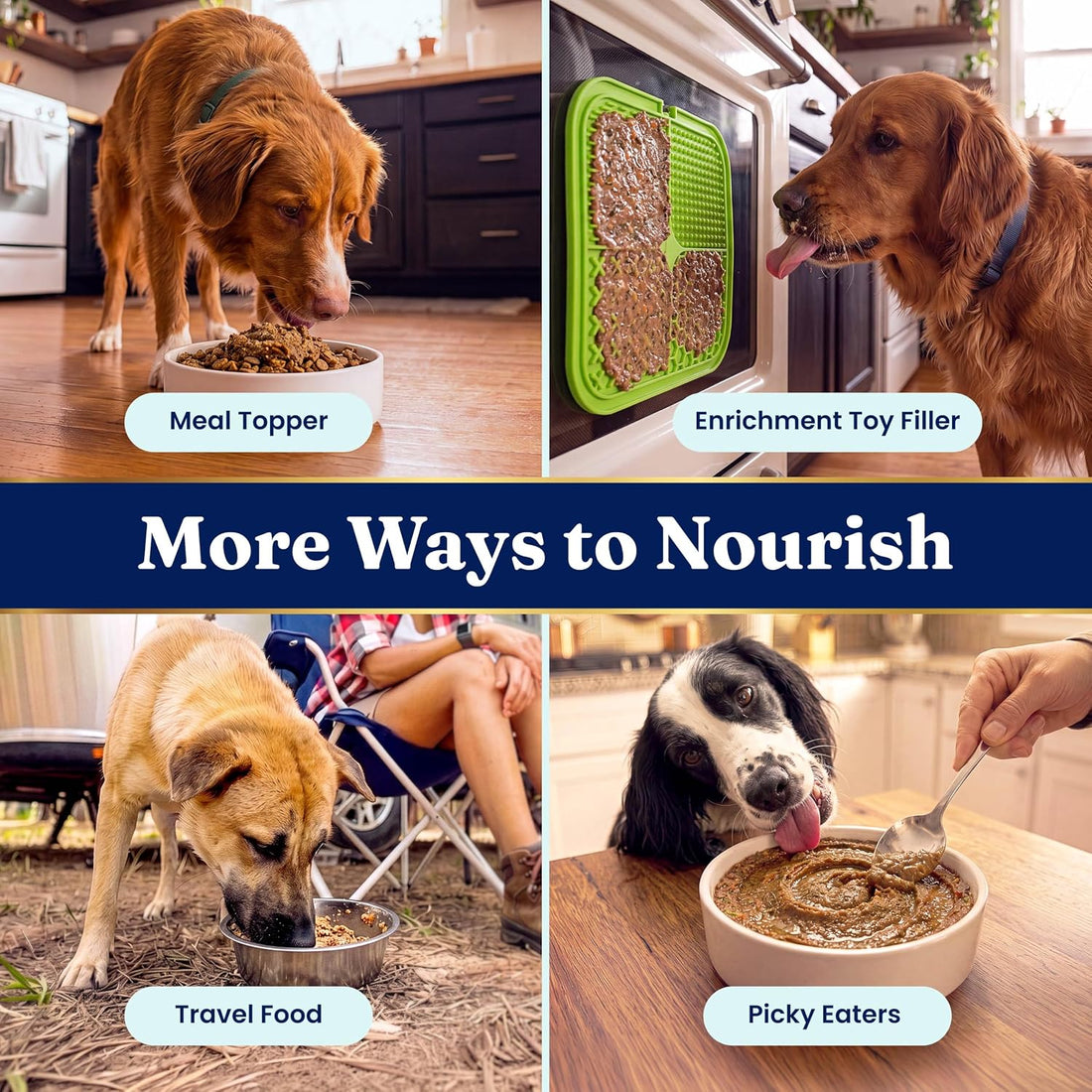 Solid Gold Dehydrated Chicken & Pumpkin Dog Food