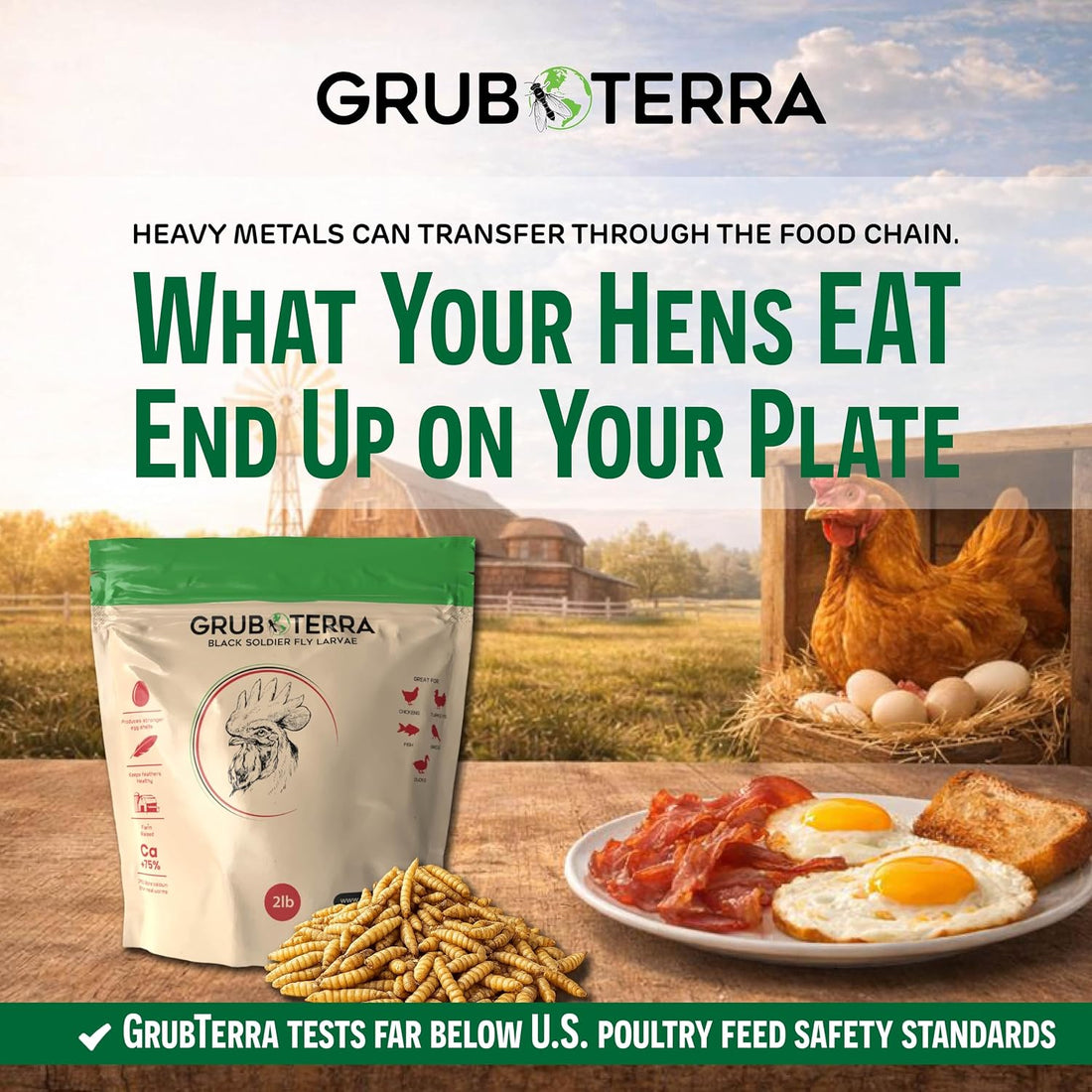 GrubTerra Black Soldier Fly Larvae for Chickens