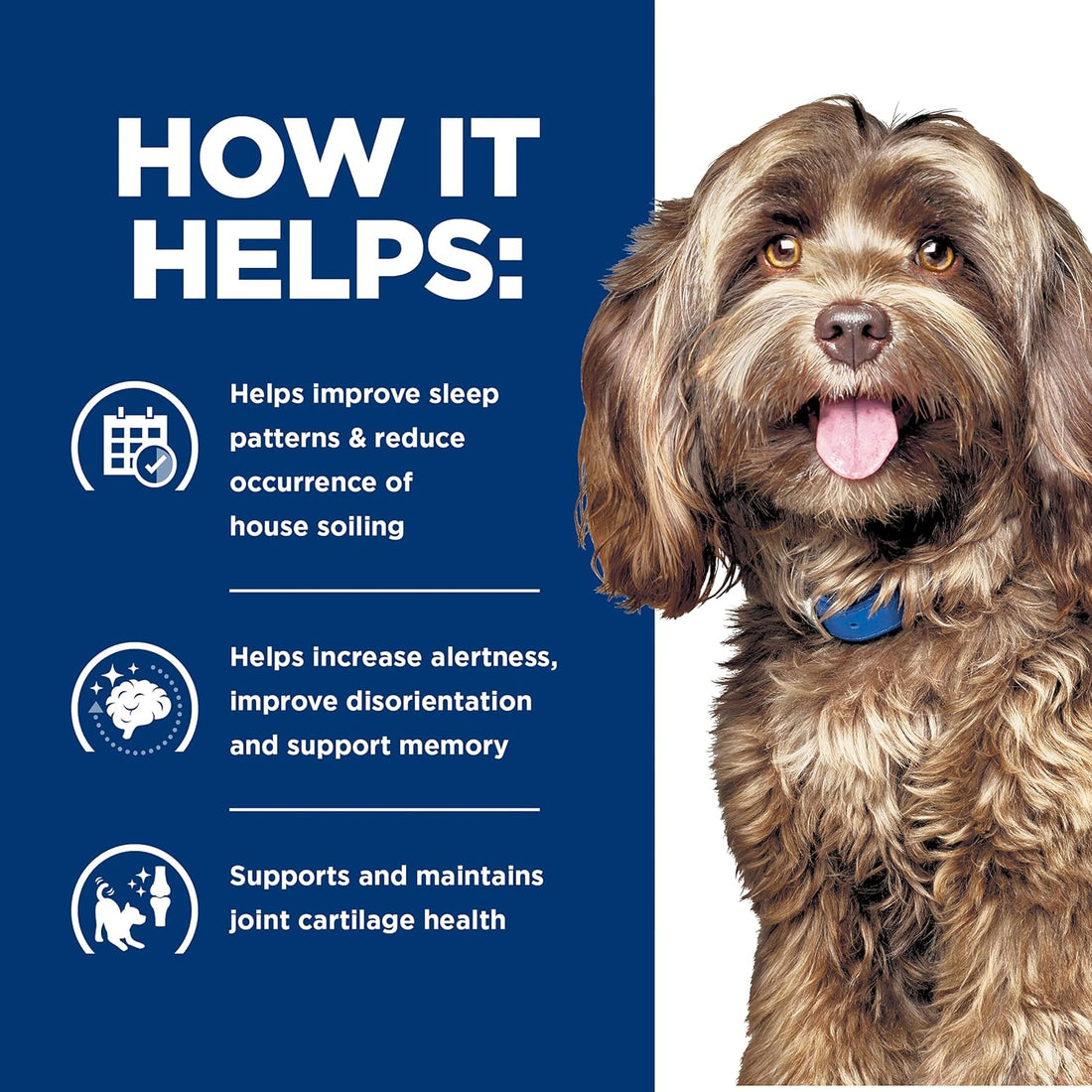 Hill’s Prescription Diet Brain Care + j/d Joint Care Wet Dog Food
