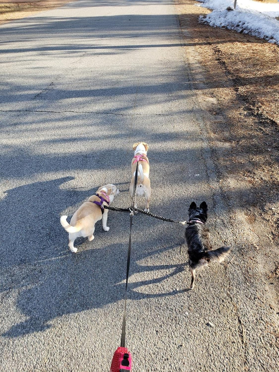 3 Way Dog Leash Coupler Heavy Duty No Pull Multiple Double Tangle