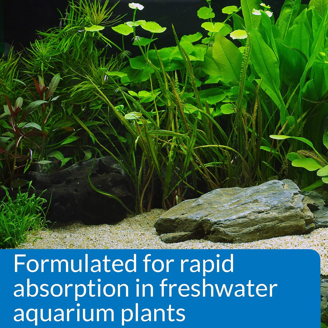 API LEAF ZONE Freshwater Aquarium Plant Fertilizer 18-Ounce Bottle