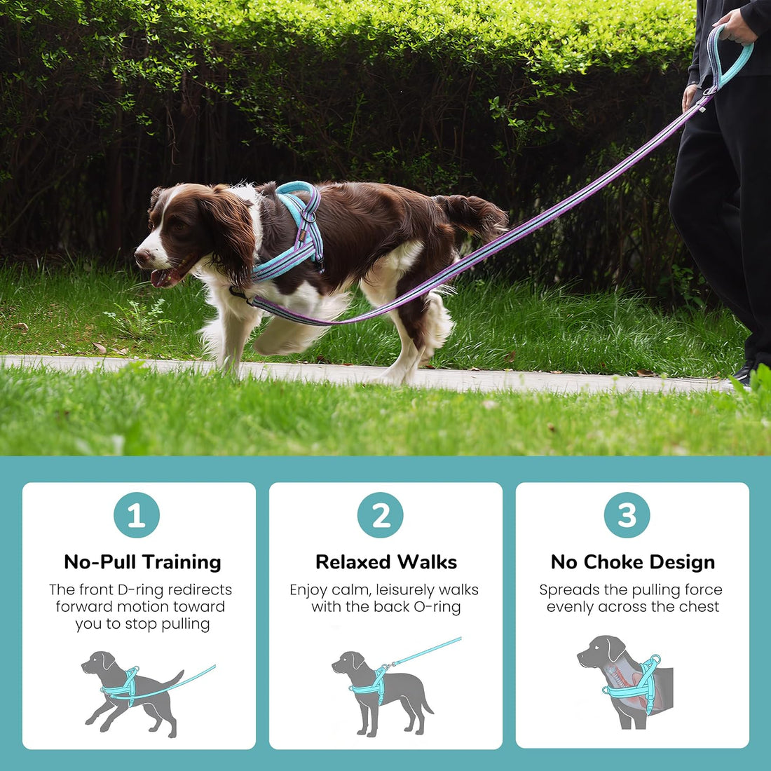 Didog No Pull Dog Harness for Small Dogs