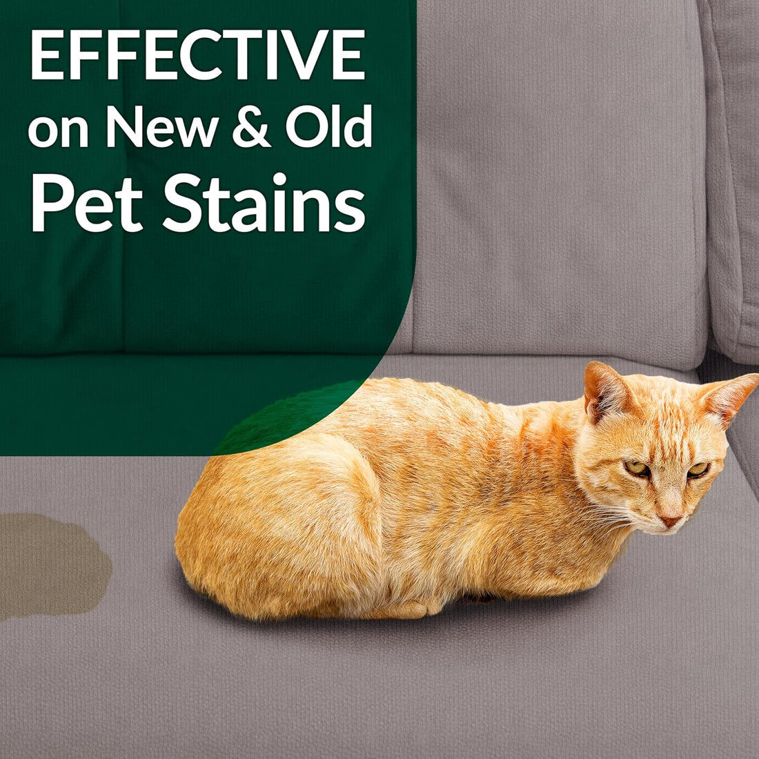 Simple Green Cat Stain & Odor Remover - Enzyme Cleaner for Cat Urine