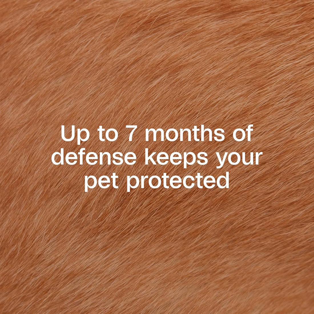 ADAMS Plus Flea & Tick Collar for Dogs, 7-Month Prevention, 1 Count