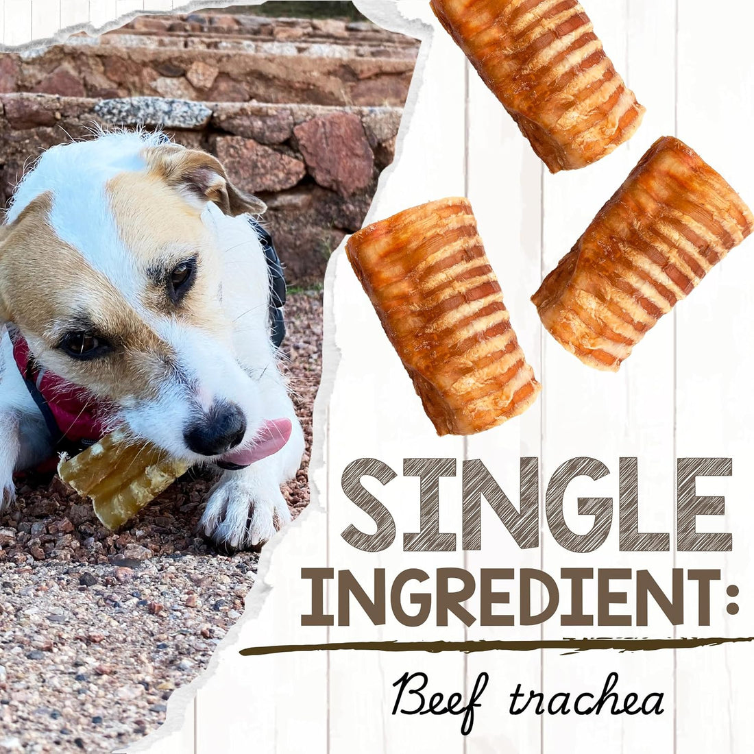 Nature Gnaws Beef Trachea Chews 3", 12 Count