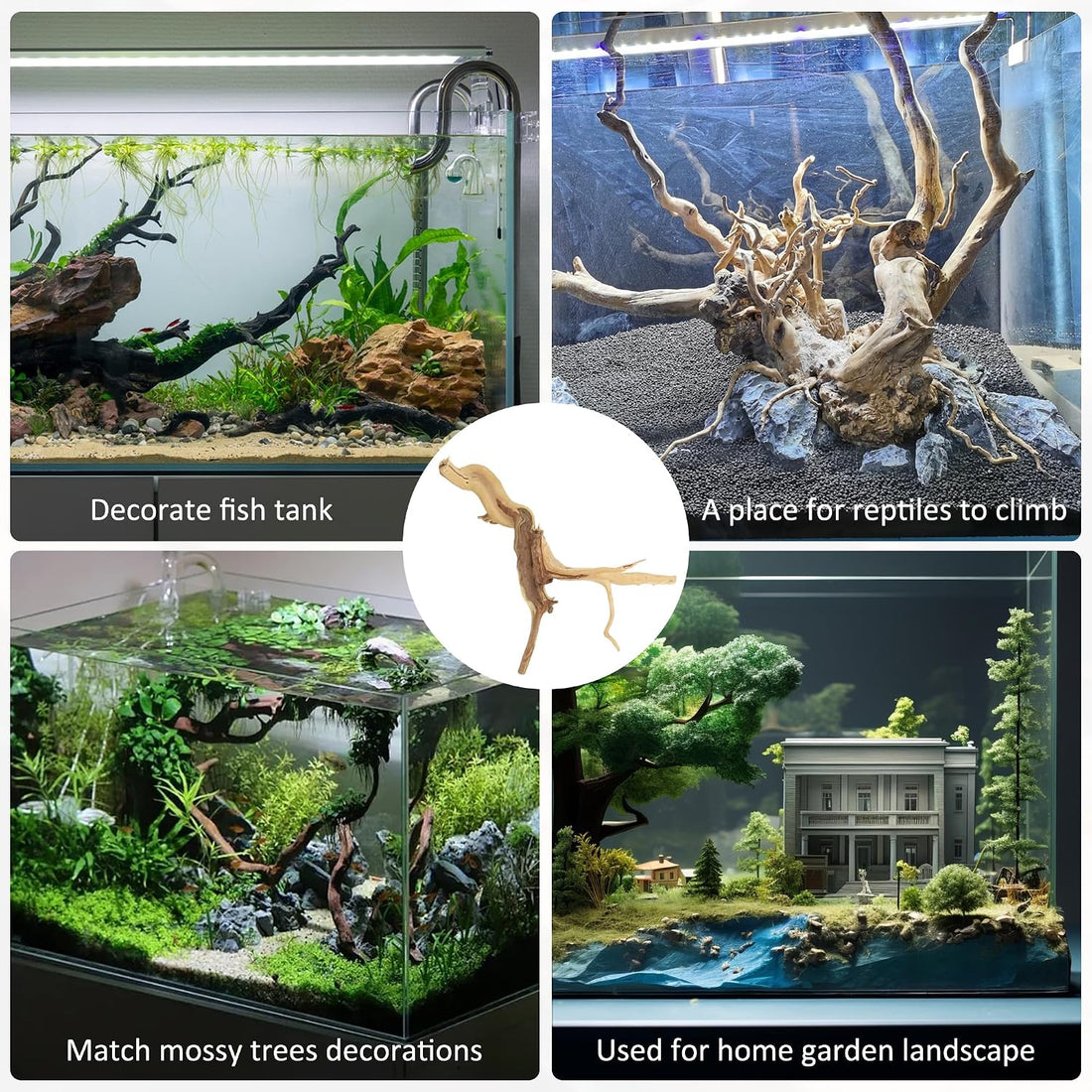 8 Pcs Natural Spider Woods, 4-8 Inch
