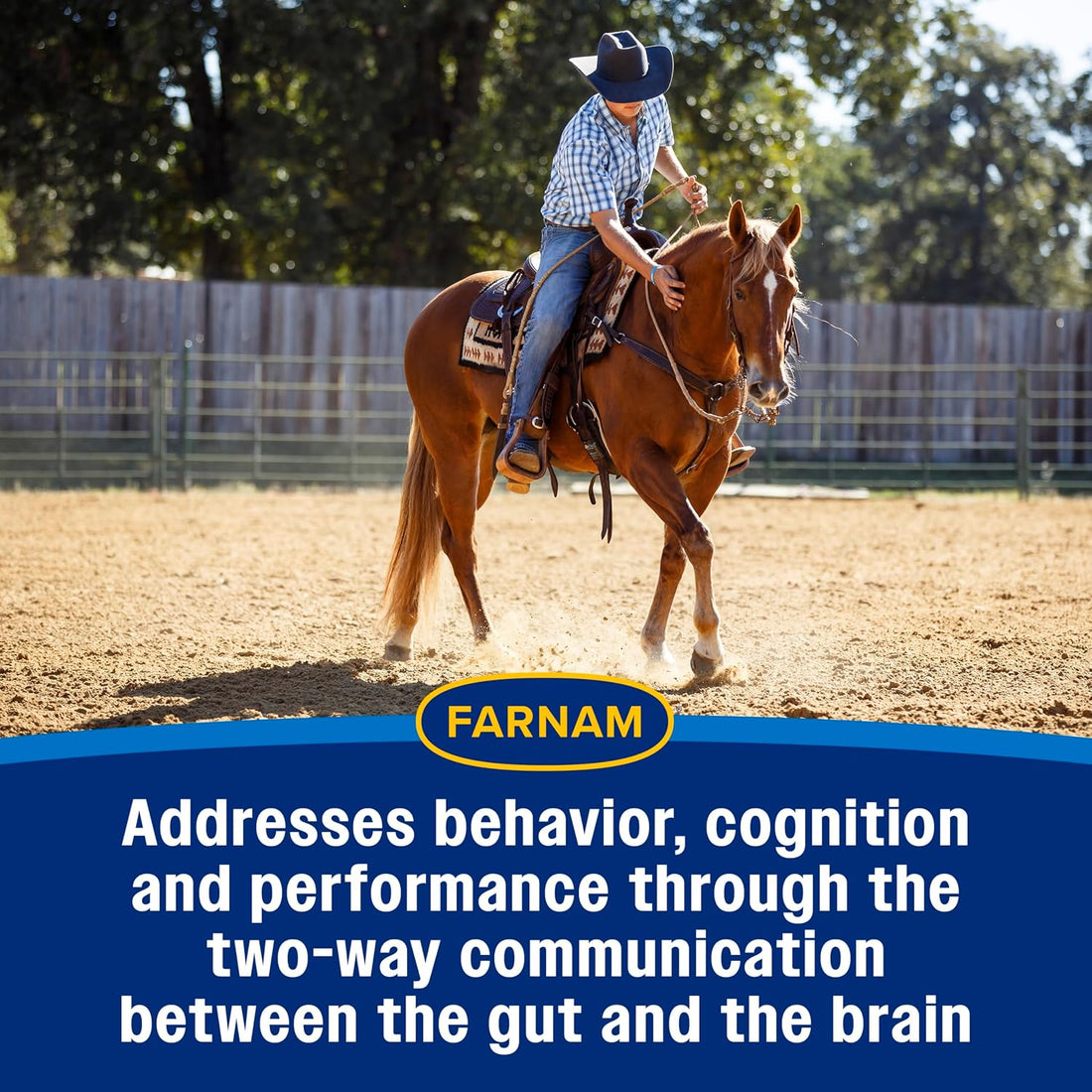 Farnam Quietex Show Pellets, Horse Calming Supplement, 3.75 lb
