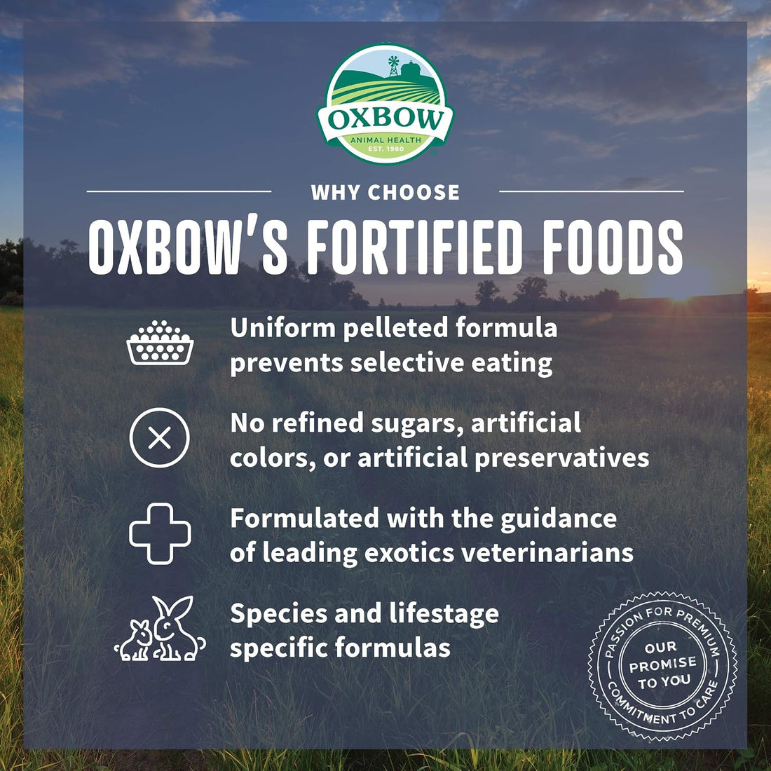 Oxbow Essentials Mouse & Young Rat Food, Complete Rodent Pellets