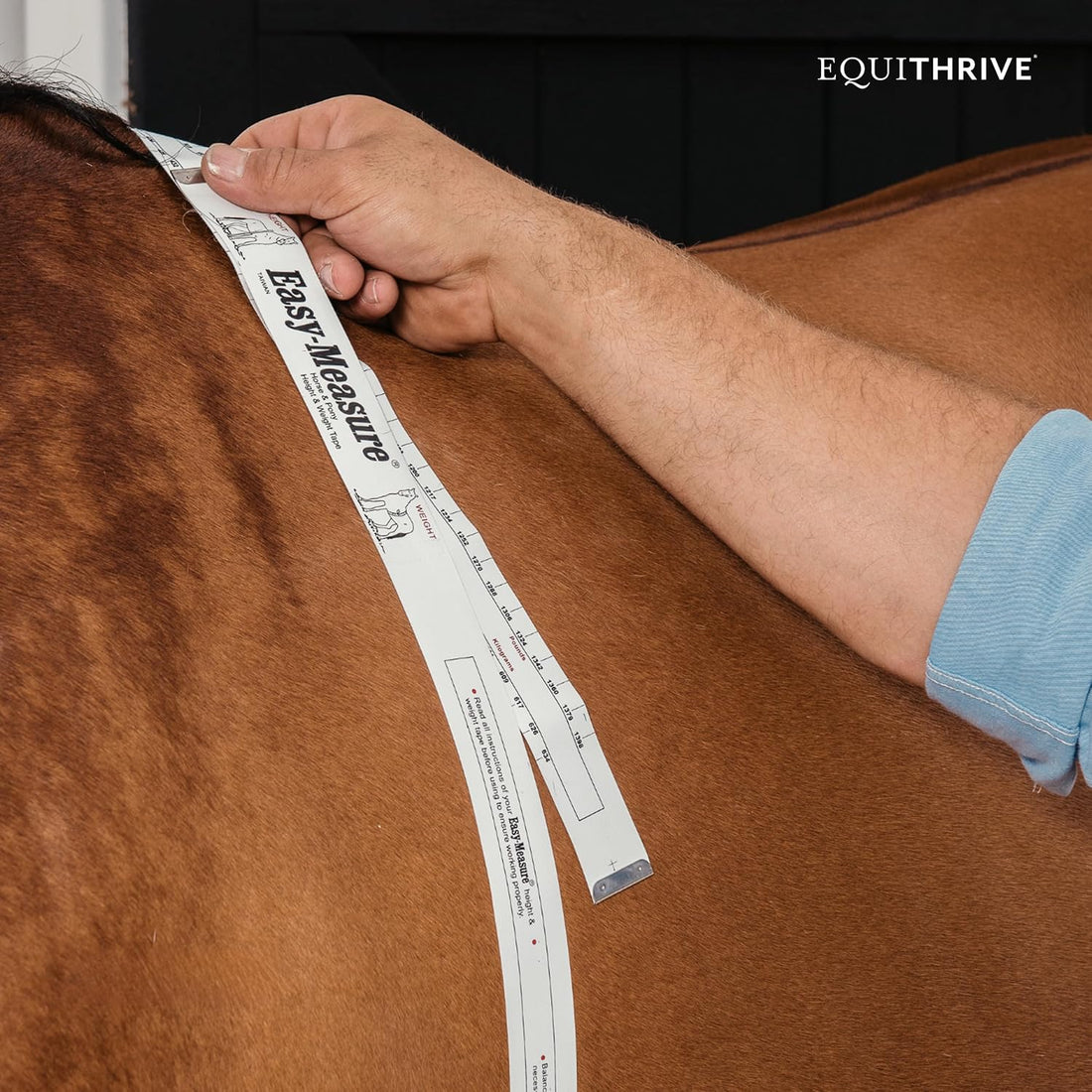 Equithrive Metabarol Horse Supplement, Powder, 2 lbs