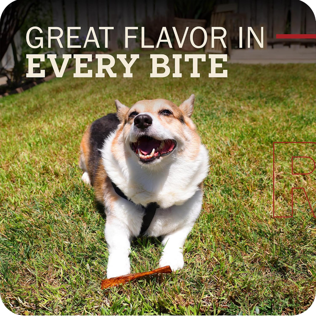 Redbarn Collagen Slices Beef Rawhide Chews for Dogs