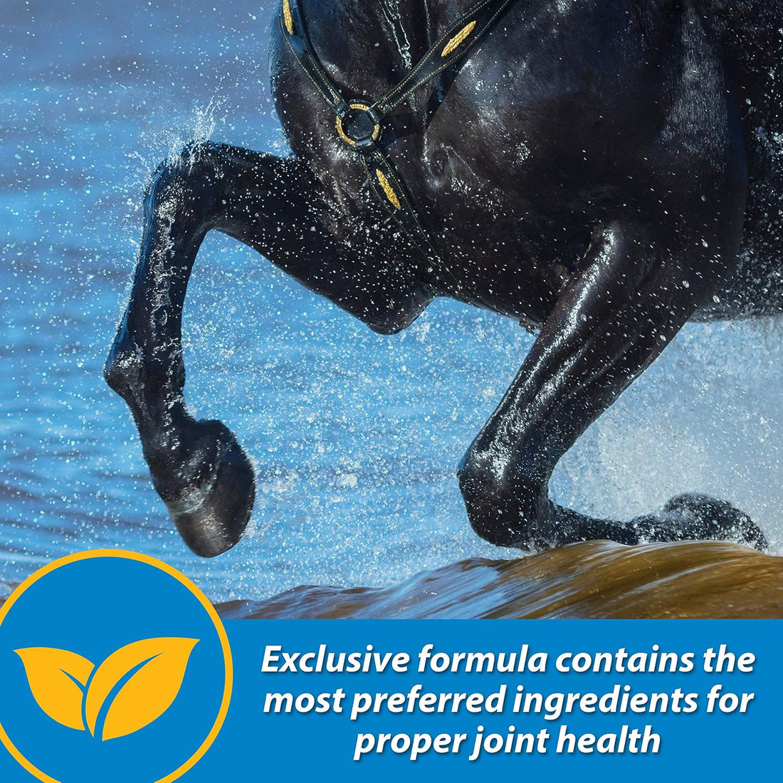 Farnam Fluidflex Glucosamine Joint Supplement for Horses, 32 oz.