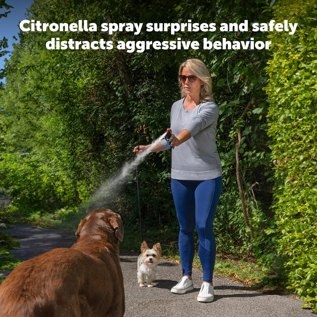 PetSafe SprayShield Animal Deterrent with Clip
