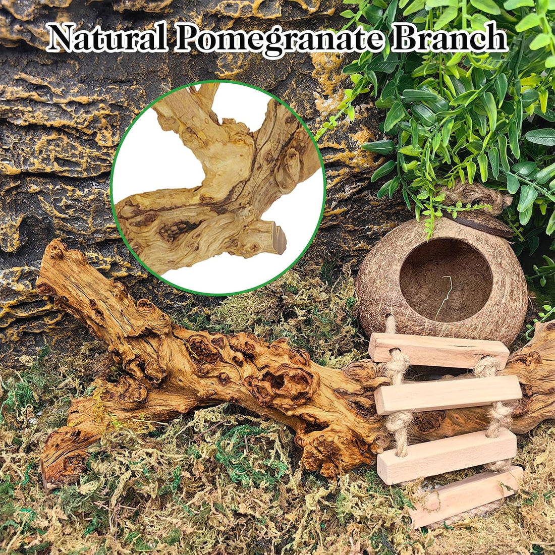VCEPJH 2 Pack Reptile Wood Branches