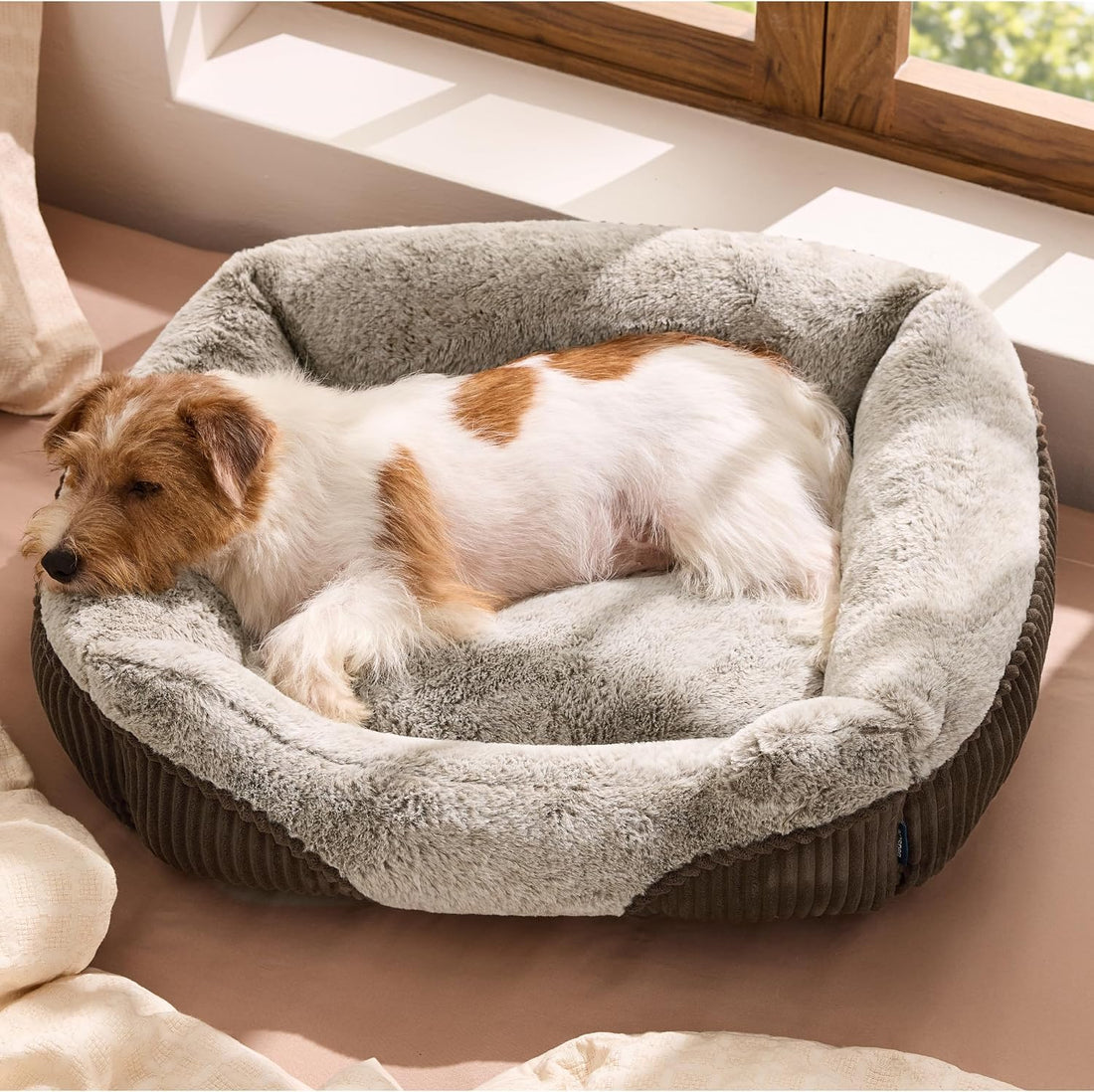 Bedsure Washable Dog Bed Small Medium Size Dog Rectangle Pet